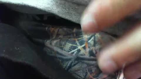 comox online show from 03-06-25, 08:30