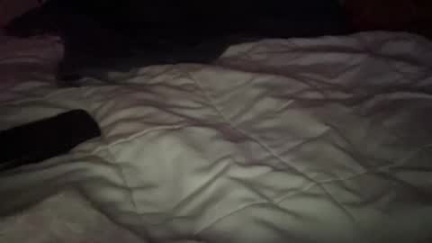 Snapshot of concretecarpenter chatting on 11-09-25, 08:12 concretecarpenter online show from 11-09-25, 08:12