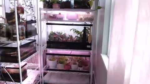 Snapshot of constantcumquest chatting on 11-14-25, 03:44 ANR Mommy online show from 11-14-25, 03:44