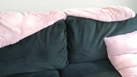 Snapshot of constantcumquest chatting on 11-17-25, 08:03 ANR Mommy online show from 11-17-25, 08:03