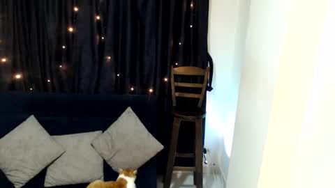 Sofi online show from 06-10-26, 03:07