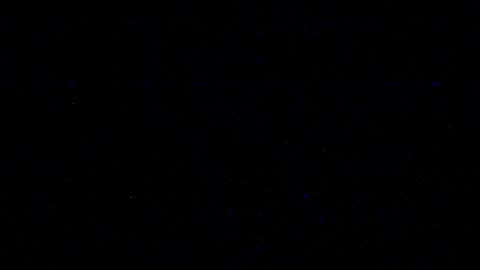 cookieforme online show from 02-19-25, 10:09