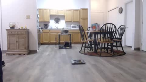 Snapshot of copper_crotch chatting on 01-11-26, 01:43 copper_crotch online show from 01-11-26, 01:43