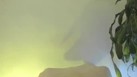 Coral princex online show from 02-20-26, 06:26