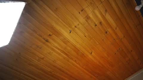 Coraline online show from 04-14-26, 12:55