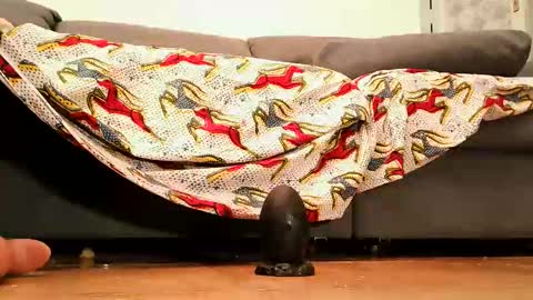 Snapshot of cossy69 chatting on 09-26-25, 04:33 Andy sissy room online show from 09-26-25, 04:33