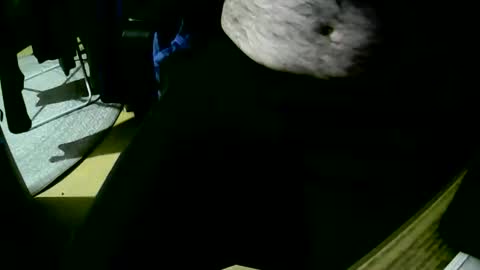 Snapshot of coyote017 chatting on 10-22-25, 06:18 coyote017 online show from 10-22-25, 06:18