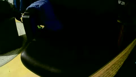 Snapshot of coyote017 chatting on 11-01-25, 07:49 coyote017 online show from 11-01-25, 07:49