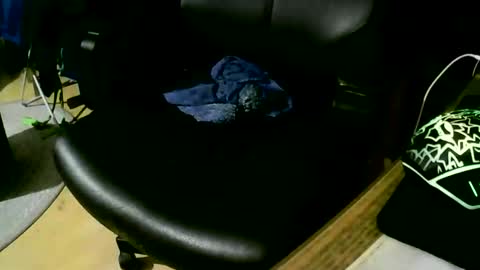 Snapshot of coyote017 chatting on 11-17-25, 09:31 coyote017 online show from 11-17-25, 09:31