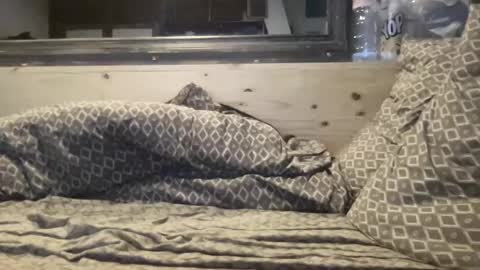 Snapshot of crapaud75018 chatting on 01-08-25, 06:20 crapaud75018 online show from 01-08-25, 06:20