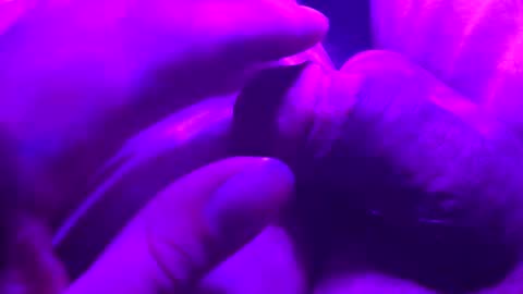 crazyfreak123455 online show from 11-22-25, 06:56