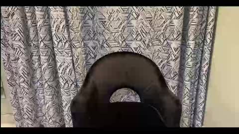 Snapshot of creamonmycakes chatting on 09-12-25, 10:04 CreamOnMyCakes online show from 09-12-25, 10:04