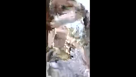 SUSAN online show from 05-04-26, 07:43