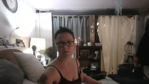 Tulip online show from 12-02-24, 04:53