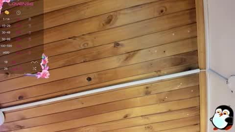 Cristal online show from 10-29-25, 05:53