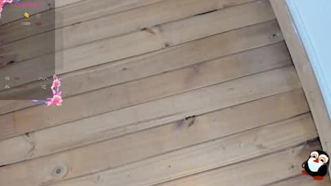 Cristal online show from 01-09-26, 04:15