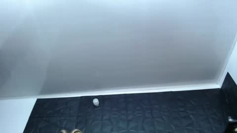 Snapshot of cristal_smith06 chatting on 12-17-24, 10:12 Hanna online show from 12-17-24, 10:12