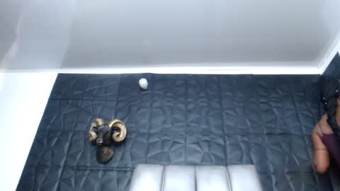 Snapshot of cristal_smith06 chatting on 10-26-25, 11:27 Hanna online show from 10-26-25, 11:27