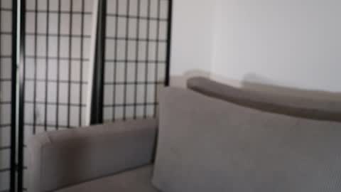 Snapshot of cristalhill chatting on 01-17-26, 09:29 Laura online show from 01-17-26, 09:29