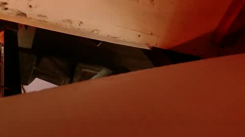 Snapshot of cryan78 chatting on 02-04-25, 08:56 cryan96 online show from 02-04-25, 08:56