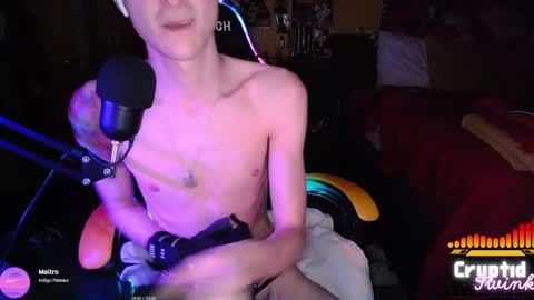 CryptidTwink online show from 04-05-26, 06:10