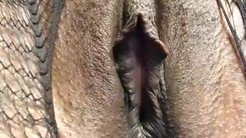 Snapshot of cuitbea chatting on 02-16-26, 09:00 Nambuusi Irene online show from 02-16-26, 09:00