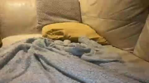 Snapshot of cumfar1985 chatting on 12-18-25, 02:39 Cumfar online show from 12-18-25, 02:39