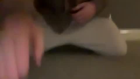 Snapshot of cumfar1985 chatting on 03-31-26, 10:54 Cumfar online show from 03-31-26, 10:54