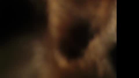 Snapshot of cumongiselle chatting on 10-25-25, 07:41 Giselle online show from 10-25-25, 07:41