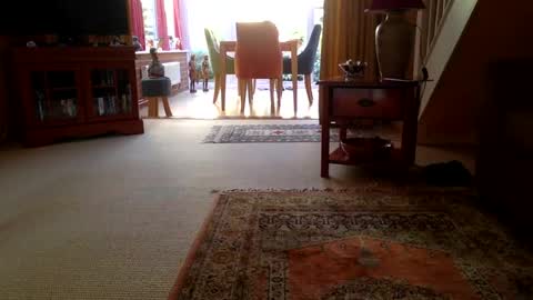 cumonherguys online show from 06-29-26, 07:25