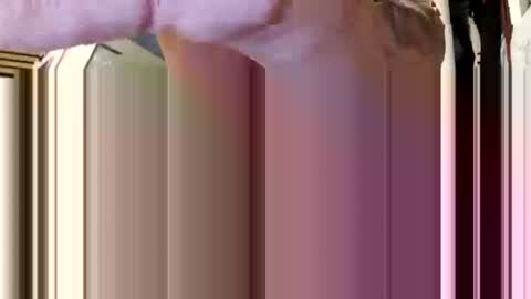 Aprilia online show from 02-05-26, 08:41