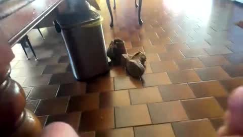 Snapshot of curicat69 chatting on 02-04-26, 07:58 curicat69 online show from 02-04-26, 07:58