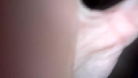 curvy24777 online show from 02-01-25, 06:10