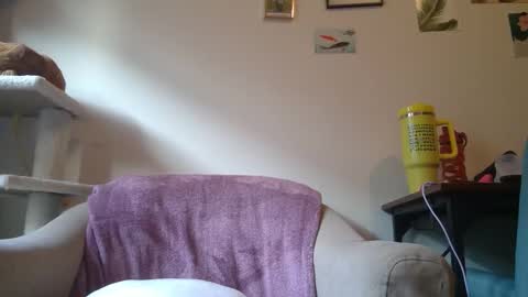 Cate online show from 01-21-25, 09:25