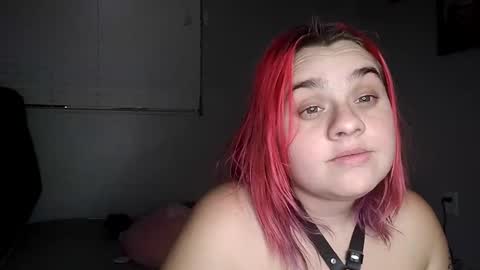 Lucifina ganja kittens online show from 12-19-24, 08:02