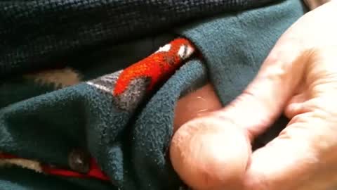 Snapshot of cutandwaxed2 chatting on 01-29-25, 02:10 BI SMOOTH MATURE SUB online show from 01-29-25, 02:10