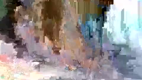 cute_savanna online show from 03-10-26, 05:01