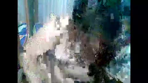 cutechubbyasian online show from 04-26-26, 11:30