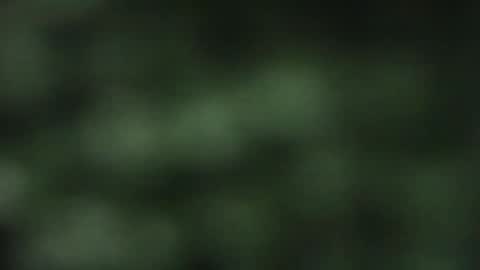 Snapshot of cuteeboy chatting on 10-18-25, 08:09 cuteeboy online show from 10-18-25, 08:09