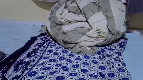 cuttepappy online show from 06-15-26, 08:22