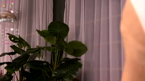 Snapshot of cynthiawest chatting on 07-03-26, 03:35 Ivy online show from 07-03-26, 03:35
