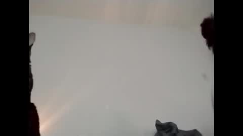 daddi_stick online show from 05-23-26, 08:35