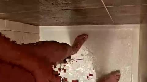 Snapshot of daddycoolm chatting on 10-29-25, 07:10 LetsHaveFunTogether online show from 10-29-25, 07:10