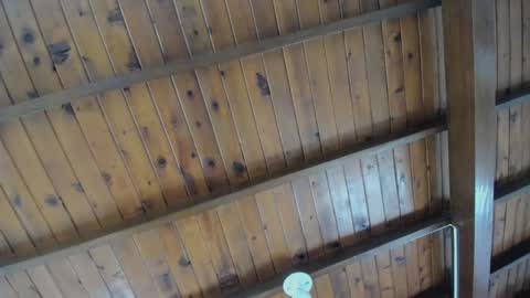 dafne_hillss online show from 09-27-25, 02:00