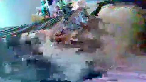 Snapshot of dafo1980 chatting on 02-22-26, 02:59 dafo1980 online show from 02-22-26, 02:59