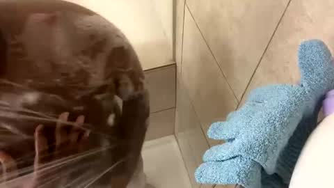 Snapshot of dafoxxx876 chatting on 11-24-25, 08:03 dafoxxx876 online show from 11-24-25, 08:03