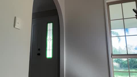 Snapshot of daisyfayer chatting on 03-15-26, 10:05 Daisy online show from 03-15-26, 10:05