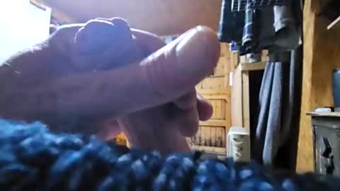 dave online show from 10-24-25, 08:49