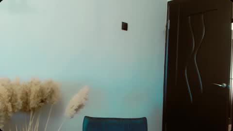 Snapshot of dalidayes chatting on 02-13-26, 06:09 Dali online show from 02-13-26, 06:09