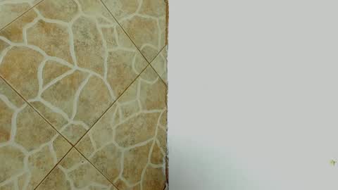         online show from 02-08-25, 07:04